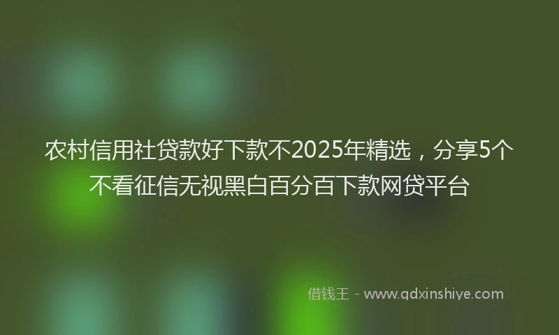 农村信用社贷款好下款不2025年精选，分享5个不看征信无视黑白百分百下款网贷平台