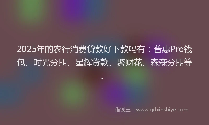2025年的农行消费贷款好下款吗有：普惠Pro钱包、时光分期、星辉贷款、聚财花、森森分期等。