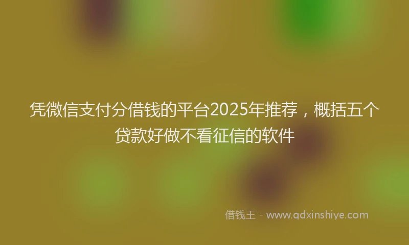 凭微信支付分借钱的平台2025年推荐，概括五个贷款好做不看征信的软件