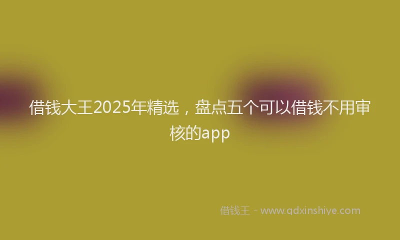 借钱大王2025年精选，盘点五个可以借钱不用审核的app