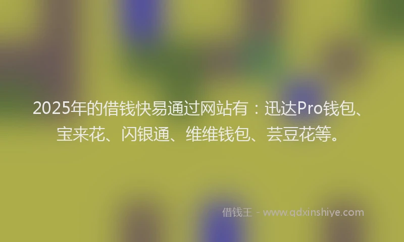 2025年的借钱快易通过网站有：迅达Pro钱包、宝来花、闪银通、维维钱包、芸豆花等。