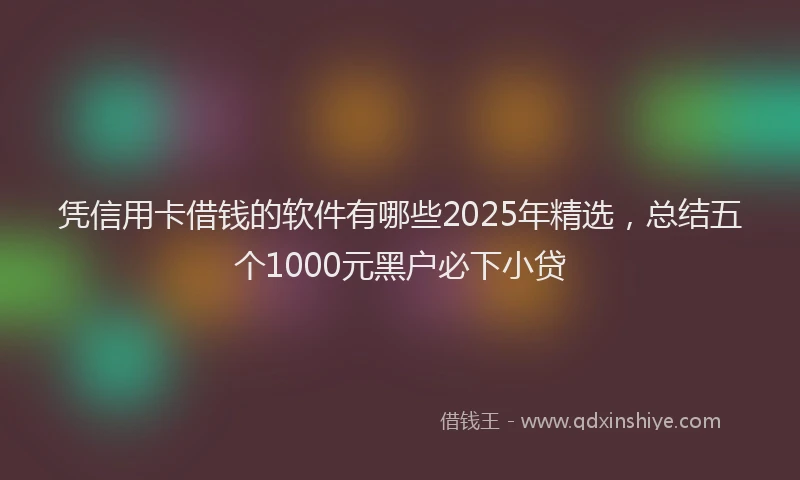 凭信用卡借钱的软件有哪些2025年精选，总结五个1000元黑户必下小贷
