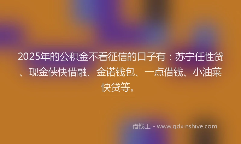2025年的公积金不看征信的口子有：苏宁任性贷、现金侠快借融、金诺钱包、一点借钱、小油菜快贷等。