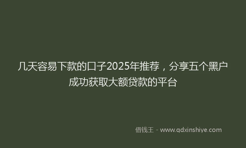 几天容易下款的口子2025年推荐，分享五个黑户成功获取大额贷款的平台