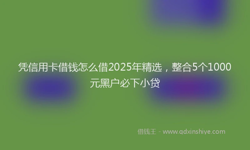 凭信用卡借钱怎么借2025年精选，整合5个1000元黑户必下小贷