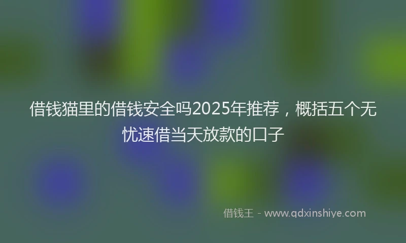 借钱猫里的借钱安全吗2025年推荐，概括五个无忧速借当天放款的口子