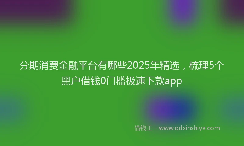 分期消费金融平台有哪些2025年精选，梳理5个黑户借钱0门槛极速下款app
