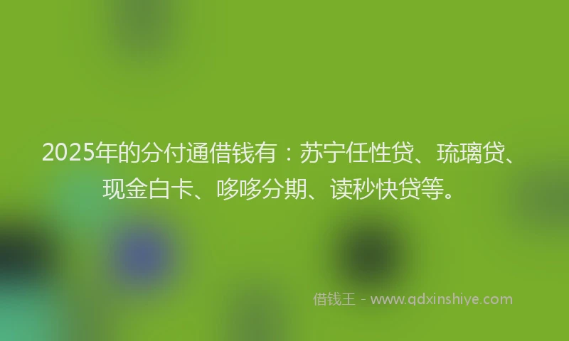 2025年的分付通借钱有：苏宁任性贷、琉璃贷、现金白卡、哆哆分期、读秒快贷等。