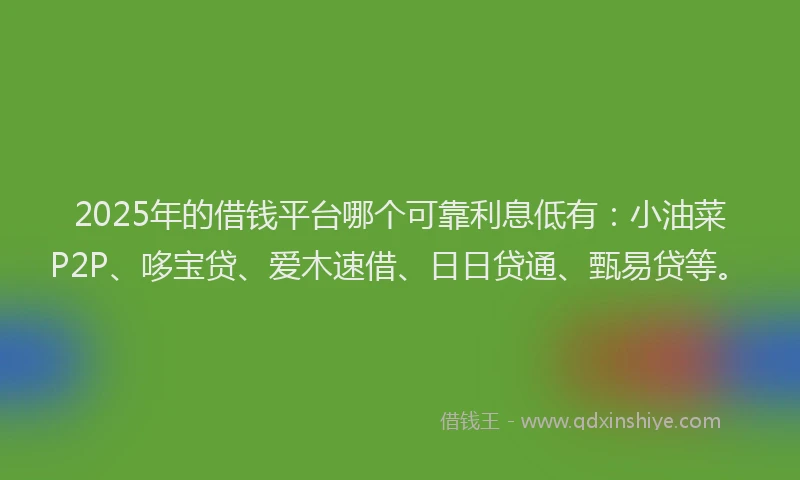 2025年的借钱平台哪个可靠利息低有：小油菜P2P、哆宝贷、爱木速借、日日贷通、甄易贷等。