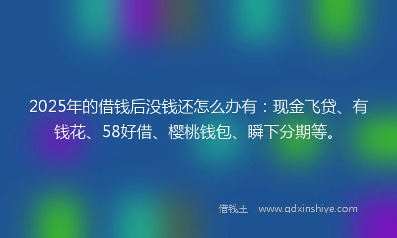 2025年的借钱后没钱还怎么办有：现金飞贷、有钱花、58好借、樱桃钱包、瞬下分期等。
