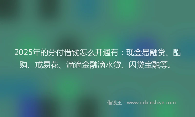 2025年的分付借钱怎么开通有：现金易融贷、酷购、戒易花、滴滴金融滴水贷、闪贷宝融等。