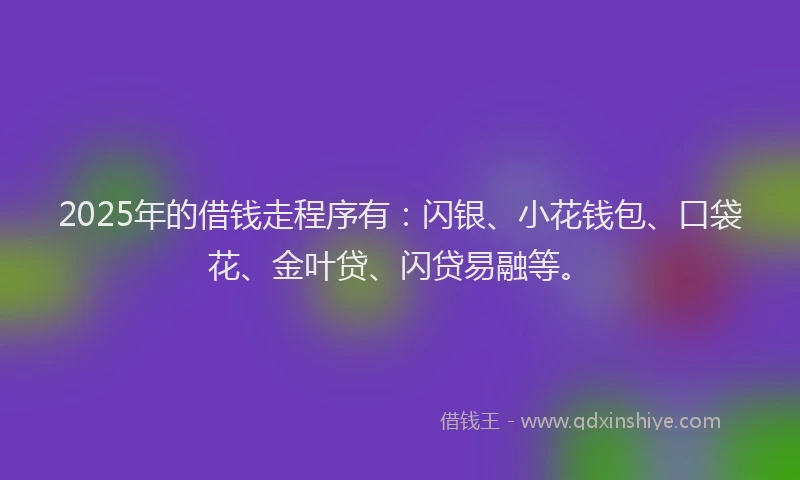 2025年的借钱走程序有：闪银、小花钱包、口袋花、金叶贷、闪贷易融等。