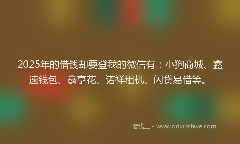 2025年的借钱却要登我的微信有：小狗商城、鑫速钱包、鑫享花、诺祥租机、闪贷易借等。