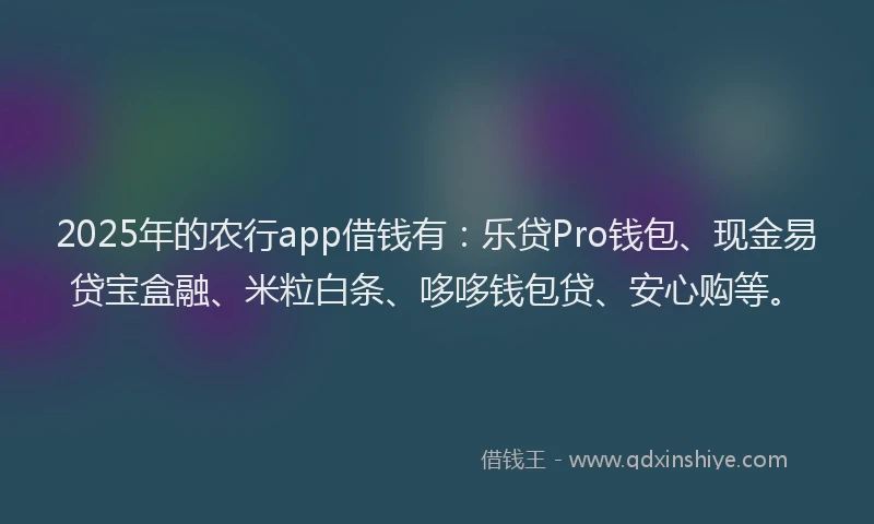 2025年的农行app借钱有：乐贷Pro钱包、现金易贷宝盒融、米粒白条、哆哆钱包贷、安心购等。