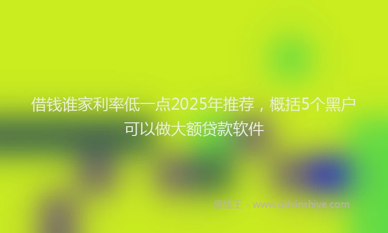 借钱谁家利率低一点2025年推荐，概括5个黑户可以做大额贷款软件