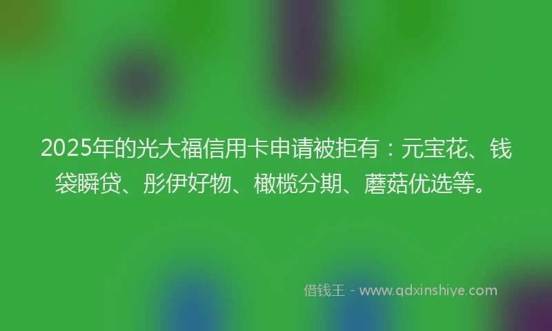 2025年的光大福信用卡申请被拒有：元宝花、钱袋瞬贷、彤伊好物、橄榄分期、蘑菇优选等。