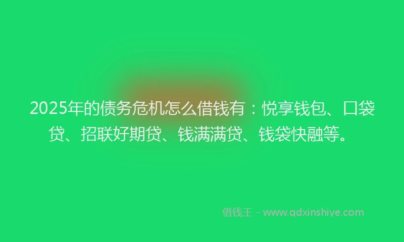 2025年的债务危机怎么借钱有：悦享钱包、口袋贷、招联好期贷、钱满满贷、钱袋快融等。