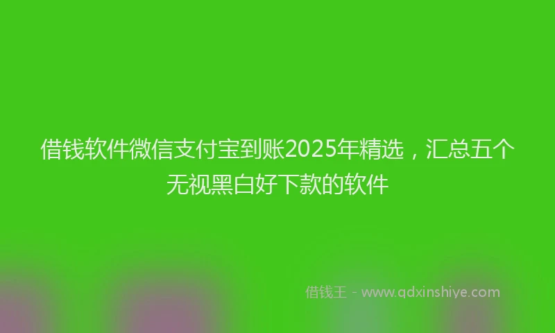 借钱软件微信支付宝到账2025年精选，汇总五个无视黑白好下款的软件