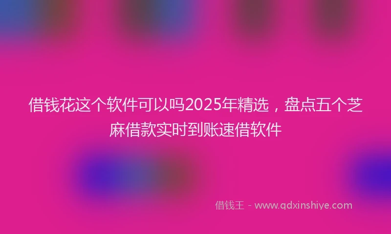 借钱花这个软件可以吗2025年精选，盘点五个芝麻借款实时到账速借软件