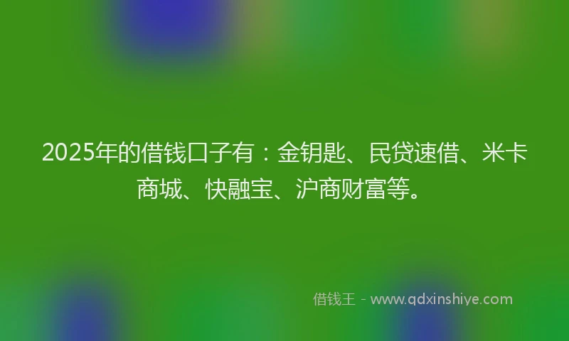 2025年的借钱口子有：金钥匙、民贷速借、米卡商城、快融宝、沪商财富等。