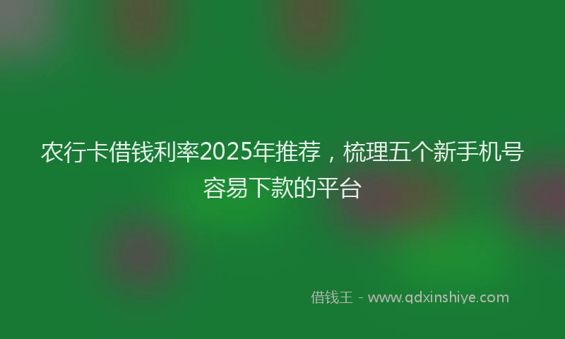 农行卡借钱利率2025年推荐，梳理五个新手机号容易下款的平台