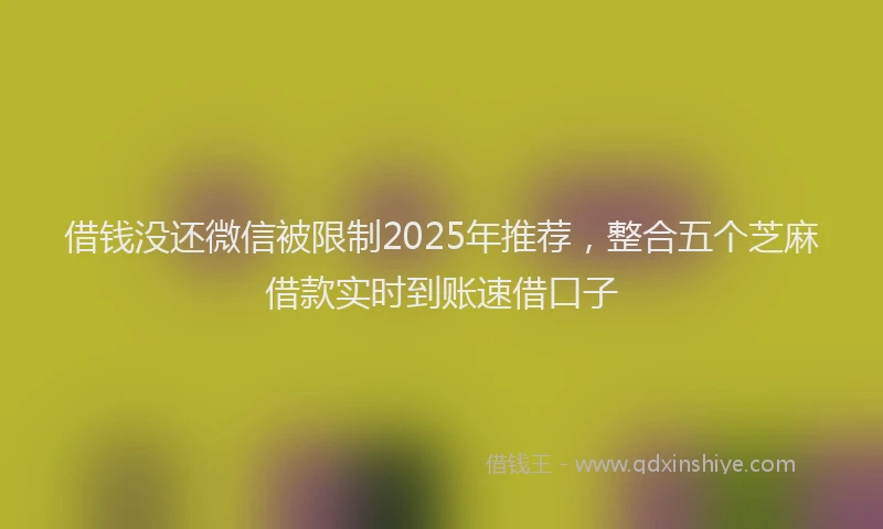 借钱没还微信被限制2025年推荐，整合五个芝麻借款实时到账速借口子