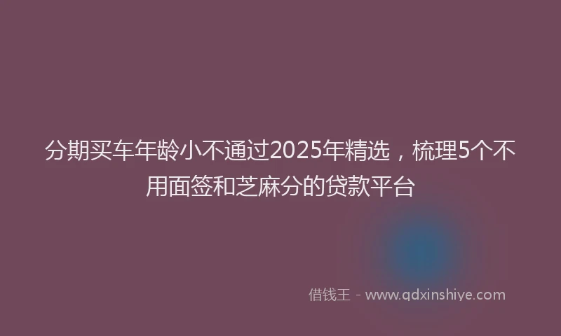 分期买车年龄小不通过2025年精选，梳理5个不用面签和芝麻分的贷款平台
