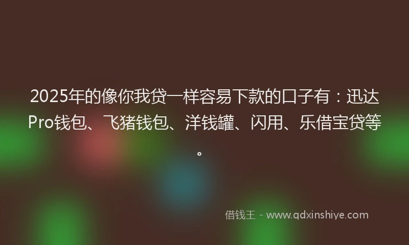2025年的像你我贷一样容易下款的口子有：迅达Pro钱包、飞猪钱包、洋钱罐、闪用、乐借宝贷等。
