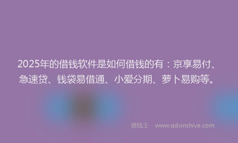 2025年的借钱软件是如何借钱的有：京享易付、急速贷、钱袋易借通、小爱分期、萝卜易购等。