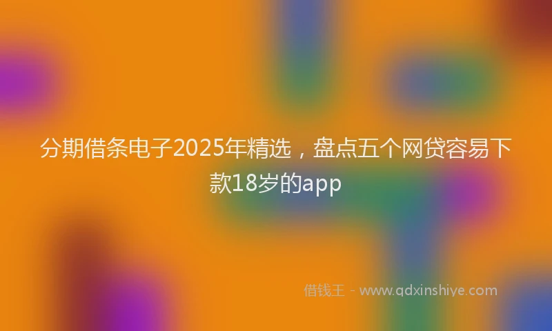 分期借条电子2025年精选，盘点五个网贷容易下款18岁的app