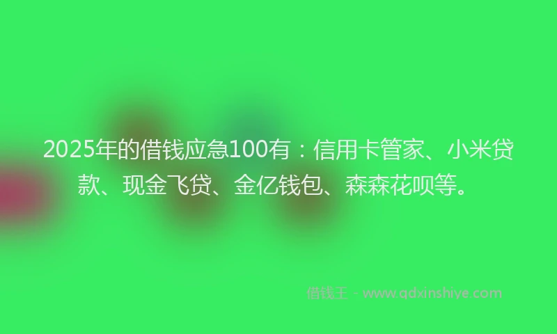 2025年的借钱应急100有：信用卡管家、小米贷款、现金飞贷、金亿钱包、森森花呗等。