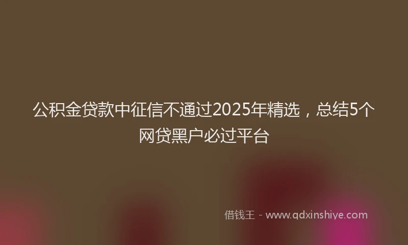 公积金贷款中征信不通过2025年精选，总结5个网贷黑户必过平台