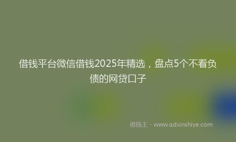 借钱平台微信借钱2025年精选，盘点5个不看负债的网贷口子