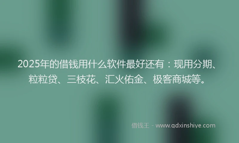 2025年的借钱用什么软件最好还有：现用分期、粒粒贷、三枝花、汇火佑金、极客商城等。