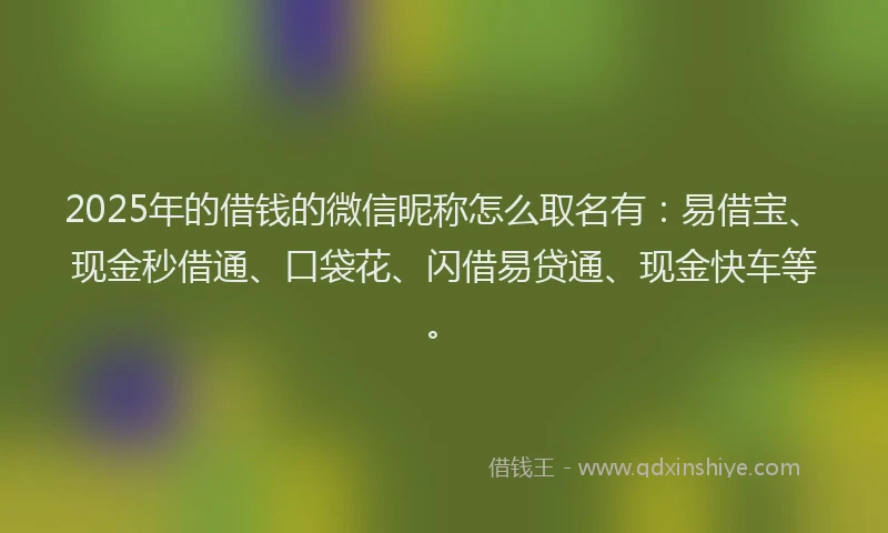 2025年的借钱的微信昵称怎么取名有：易借宝、现金秒借通、口袋花、闪借易贷通、现金快车等。