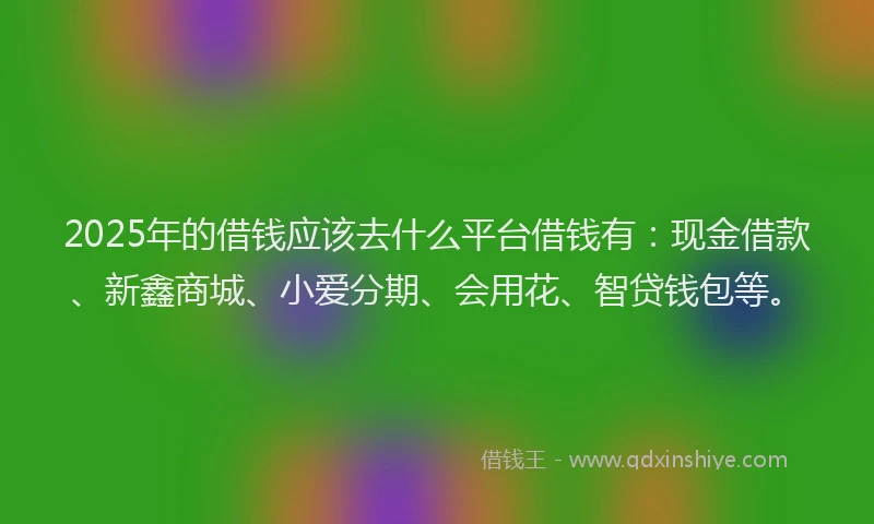 2025年的借钱应该去什么平台借钱有：现金借款、新鑫商城、小爱分期、会用花、智贷钱包等。