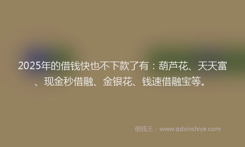2025年的借钱快也不下款了有：葫芦花、天天富、现金秒借融、金银花、钱速借融宝等。