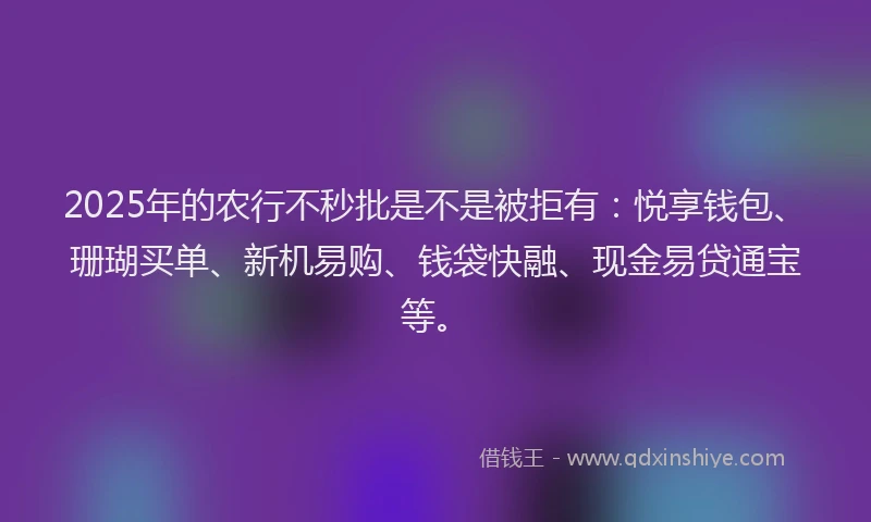 2025年的农行不秒批是不是被拒有：悦享钱包、珊瑚买单、新机易购、钱袋快融、现金易贷通宝等。