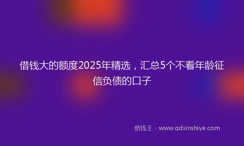 借钱大的额度2025年精选，汇总5个不看年龄征信负债的口子