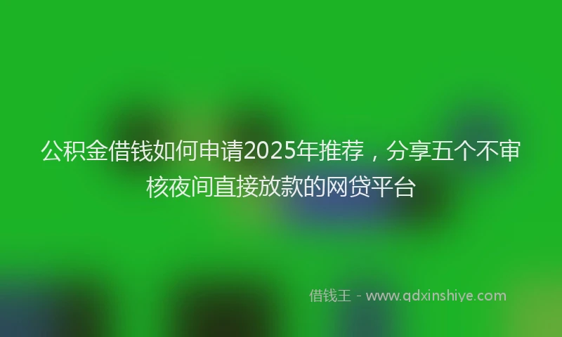 公积金借钱如何申请2025年推荐，分享五个不审核夜间直接放款的网贷平台