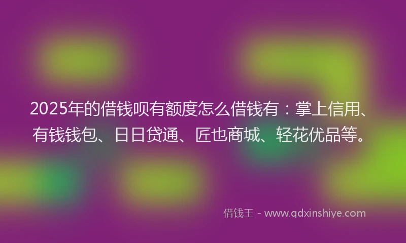 2025年的借钱呗有额度怎么借钱有：掌上信用、有钱钱包、日日贷通、匠也商城、轻花优品等。