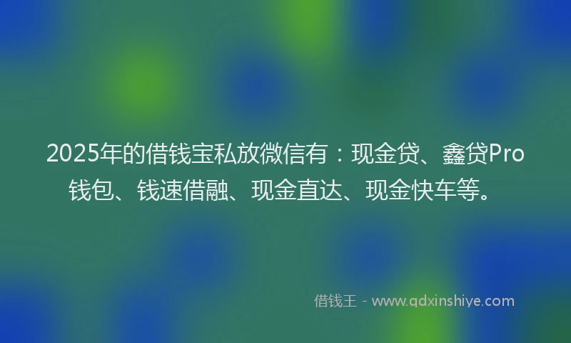 2025年的借钱宝私放微信有：现金贷、鑫贷Pro钱包、钱速借融、现金直达、现金快车等。