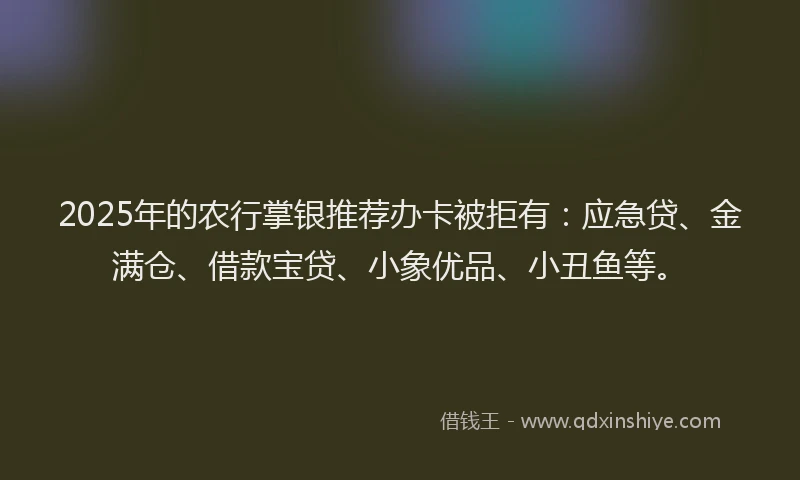 2025年的农行掌银推荐办卡被拒有：应急贷、金满仓、借款宝贷、小象优品、小丑鱼等。