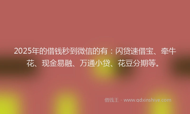 2025年的借钱秒到微信的有：闪贷速借宝、牵牛花、现金易融、万通小贷、花豆分期等。