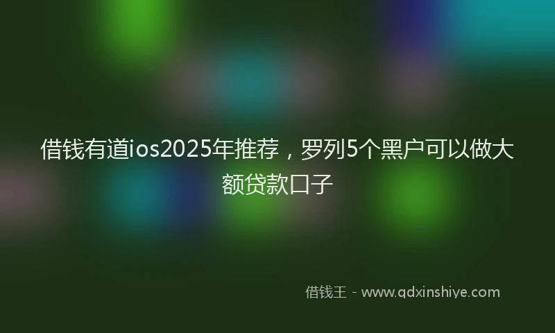 借钱有道ios2025年推荐，罗列5个黑户可以做大额贷款口子