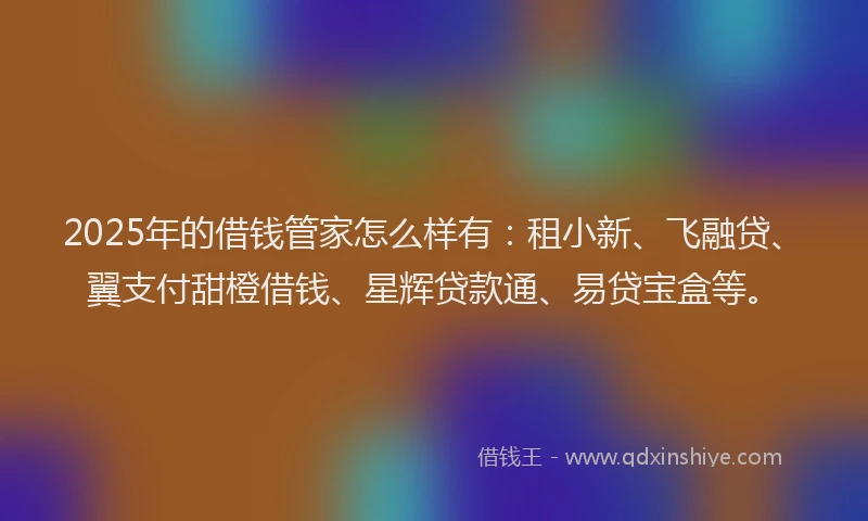 2025年的借钱管家怎么样有：租小新、飞融贷、翼支付甜橙借钱、星辉贷款通、易贷宝盒等。