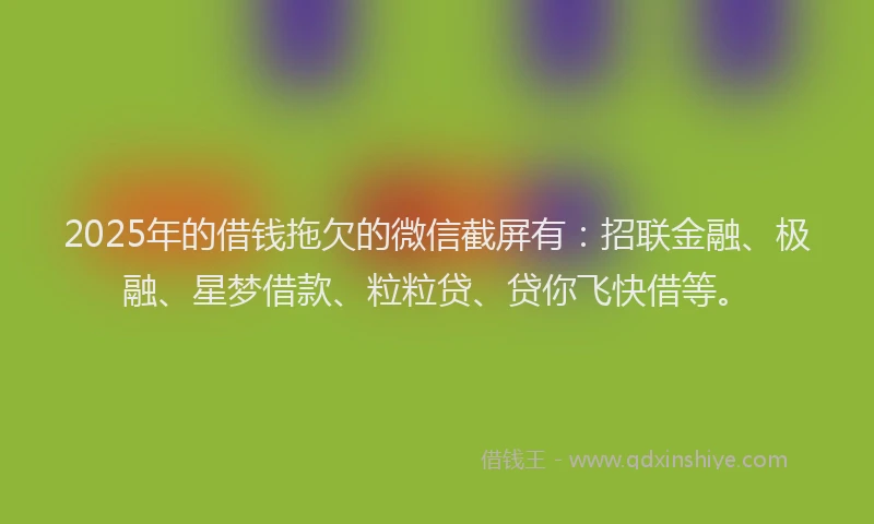 2025年的借钱拖欠的微信截屏有：招联金融、极融、星梦借款、粒粒贷、贷你飞快借等。