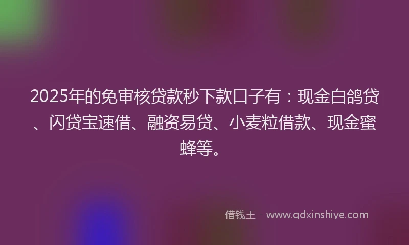 2025年的免审核贷款秒下款口子有：现金白鸽贷、闪贷宝速借、融资易贷、小麦粒借款、现金蜜蜂等。