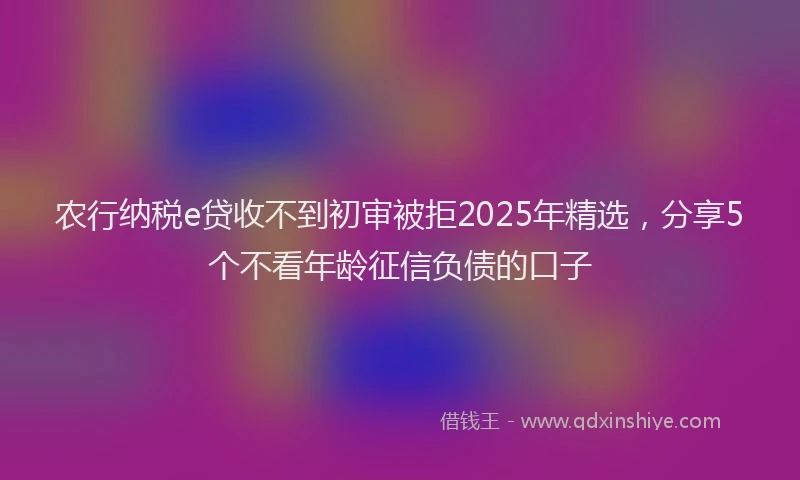 农行纳税e贷收不到初审被拒2025年精选，分享5个不看年龄征信负债的口子