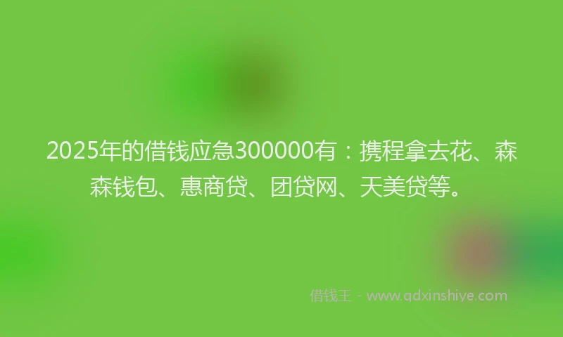 2025年的借钱应急300000有：携程拿去花、森森钱包、惠商贷、团贷网、天美贷等。